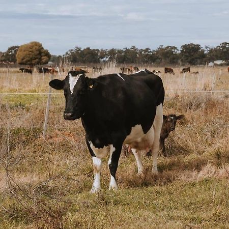 Organic Farm Stay By Tiny Away Numurkah Екстер'єр фото